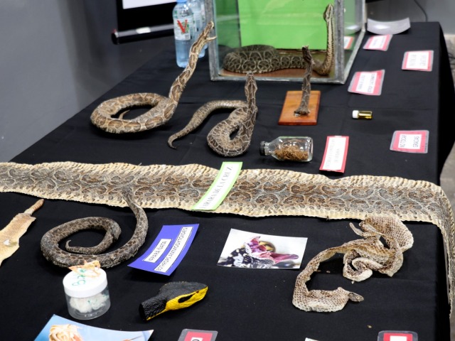 Capacitaci�n sobre reptiles y animales venenosos